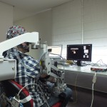 User testing multimodal brain neural interface to control exoskeleton