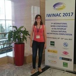 IWINAC 2017