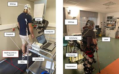 Nuevo artículo: «Brain-machine interface based on transfer-learning for detecting the appearance of obstacles during exoskeleton-assisted walking»